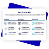 maximaze-roi-2